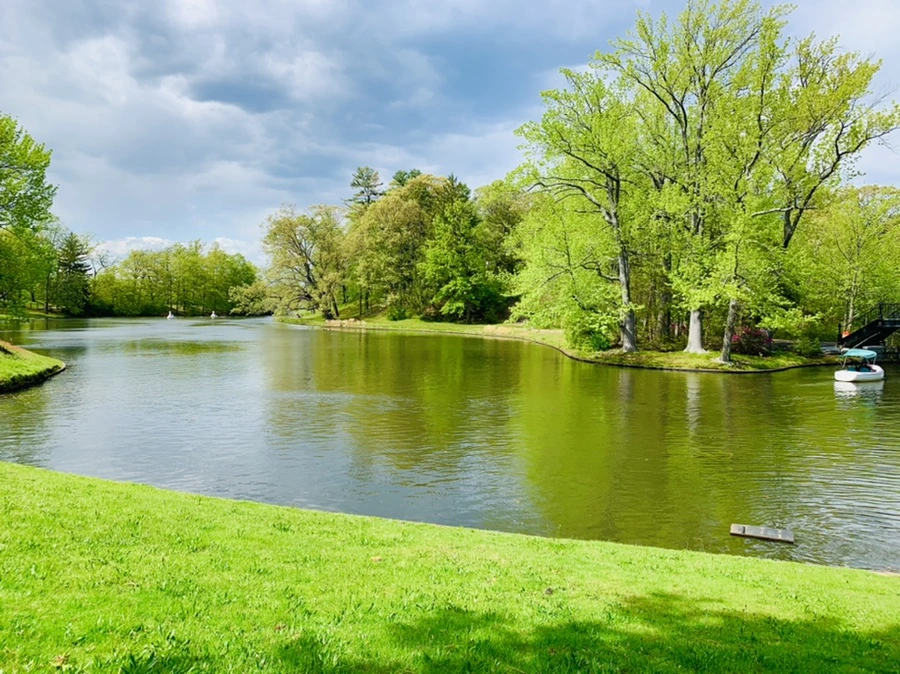 IMG_2493.jpg?type=w966