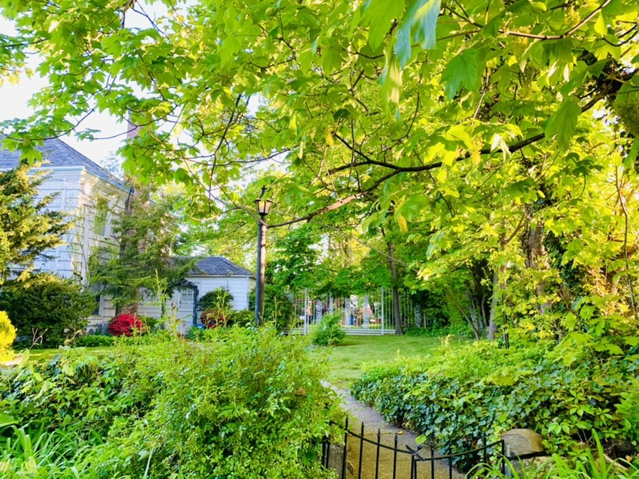 IMG_1905.jpg?type=w966