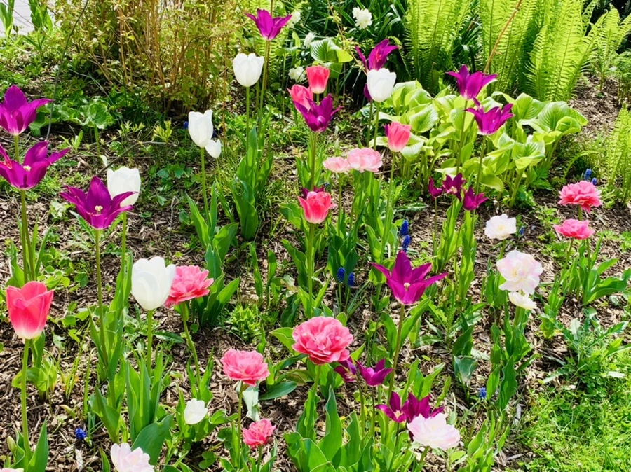 IMG_6896.jpg?type=w966