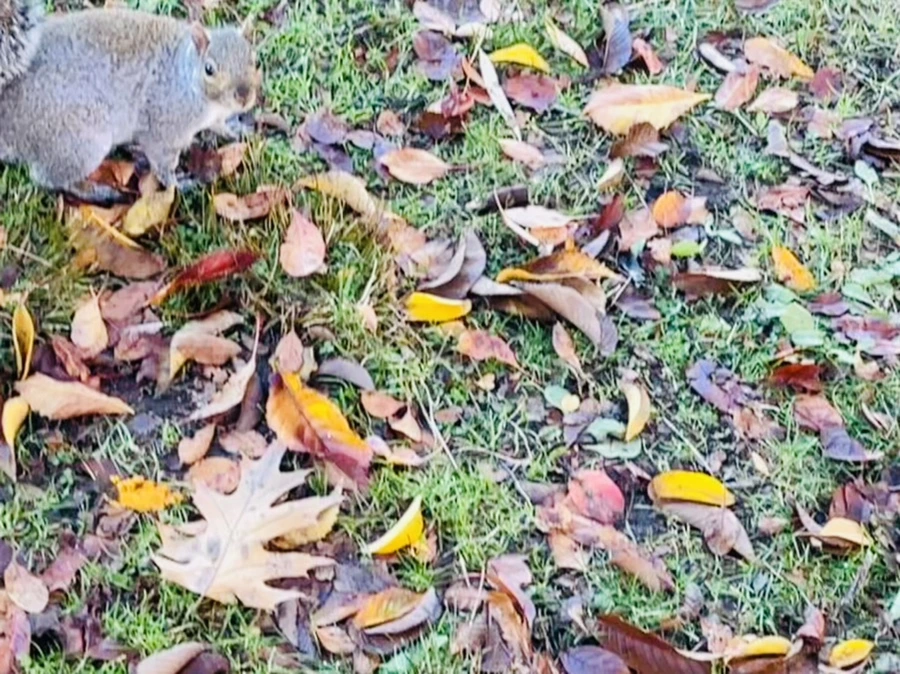 IMG_2569.jpg?type=w966