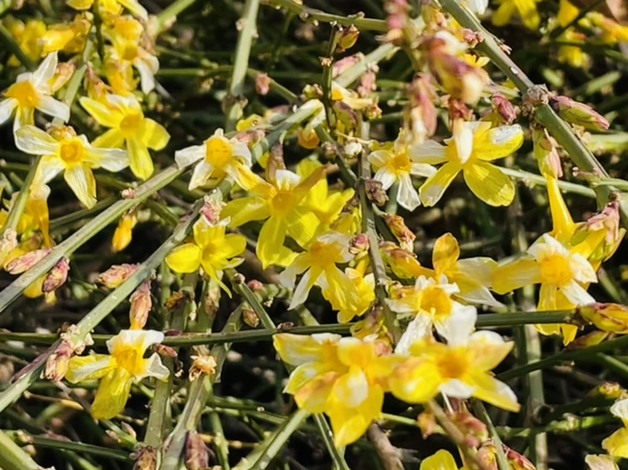 IMG_5392.jpg?type=w966