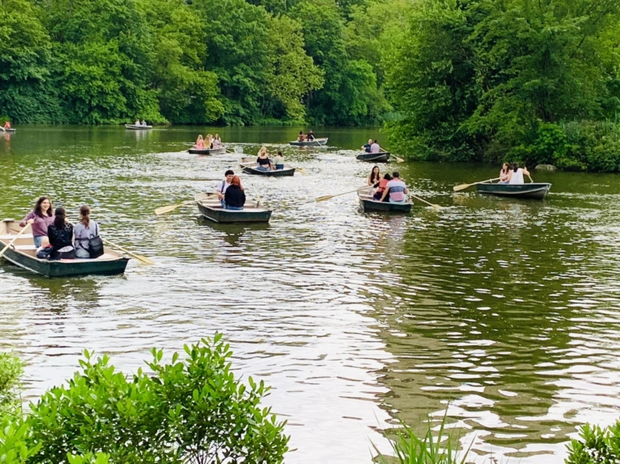 IMG_3434.jpg?type=w966