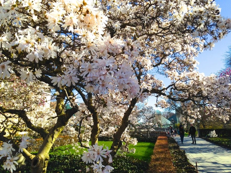 IMG_3345.JPG?type=w1