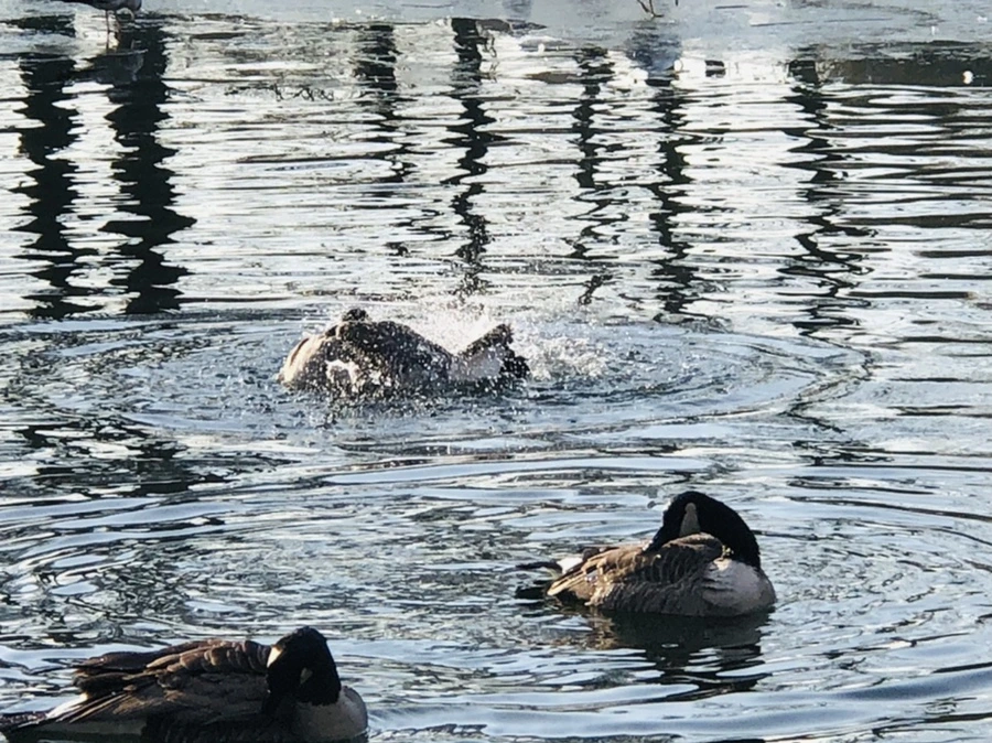 IMG_2790.jpg?type=w966