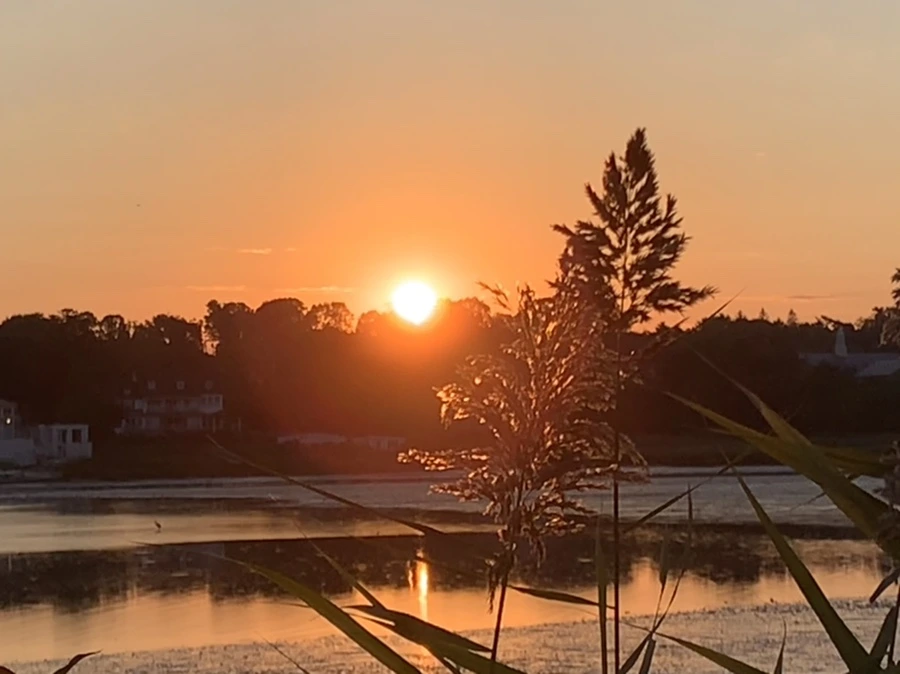 IMG_8883.jpg?type=w966