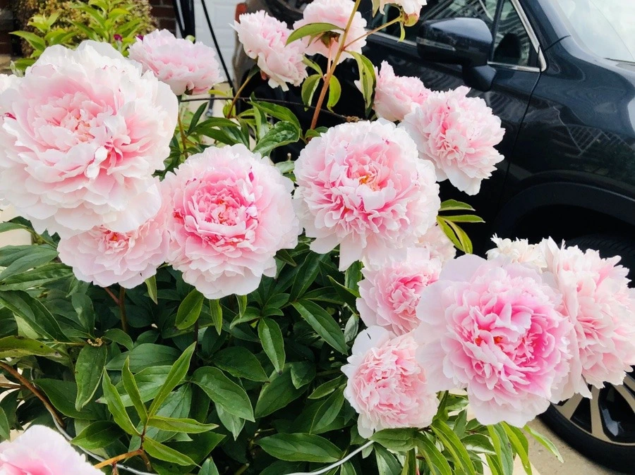 Zl9tidHFDJack6XOLmvKvUwzQdo