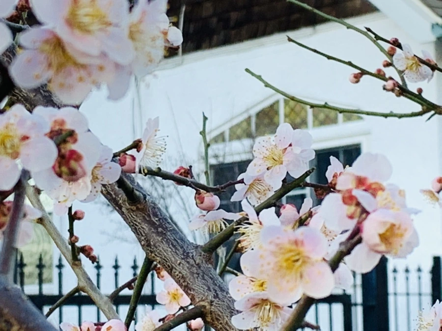 IMG_0880.jpg?type=w966