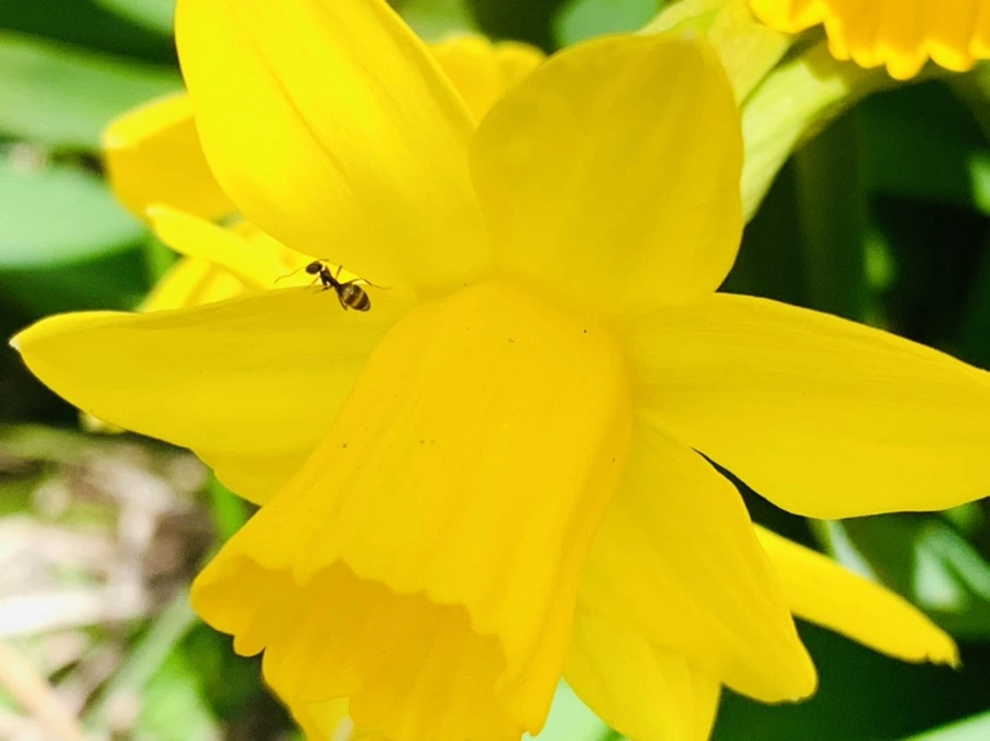 IMG_3391.jpg?type=w966