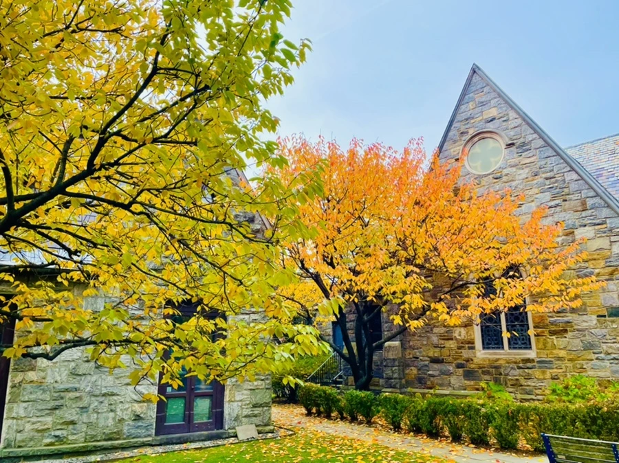 IMG_2288.jpg?type=w966