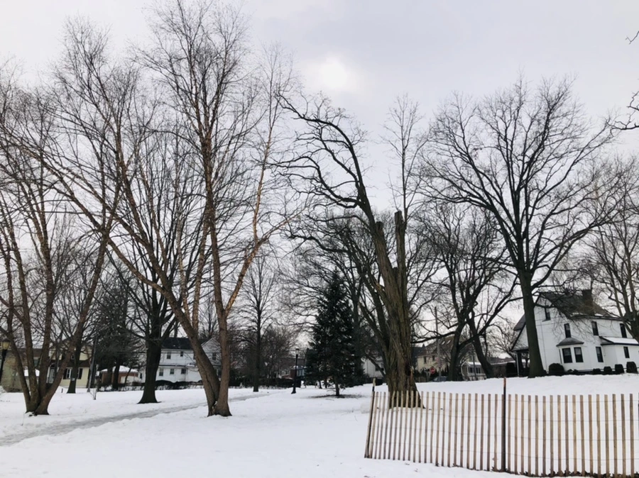 IMG_4406.jpg?type=w966