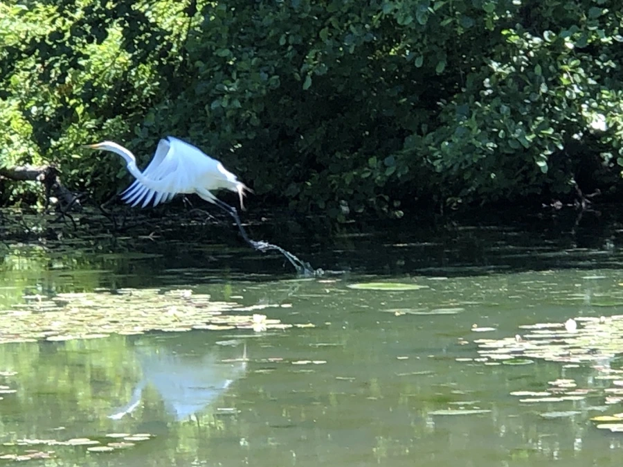 IMG_9702.jpg?type=w966