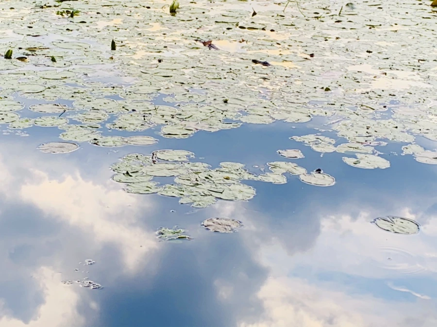 IMG_3007.jpg?type=w966