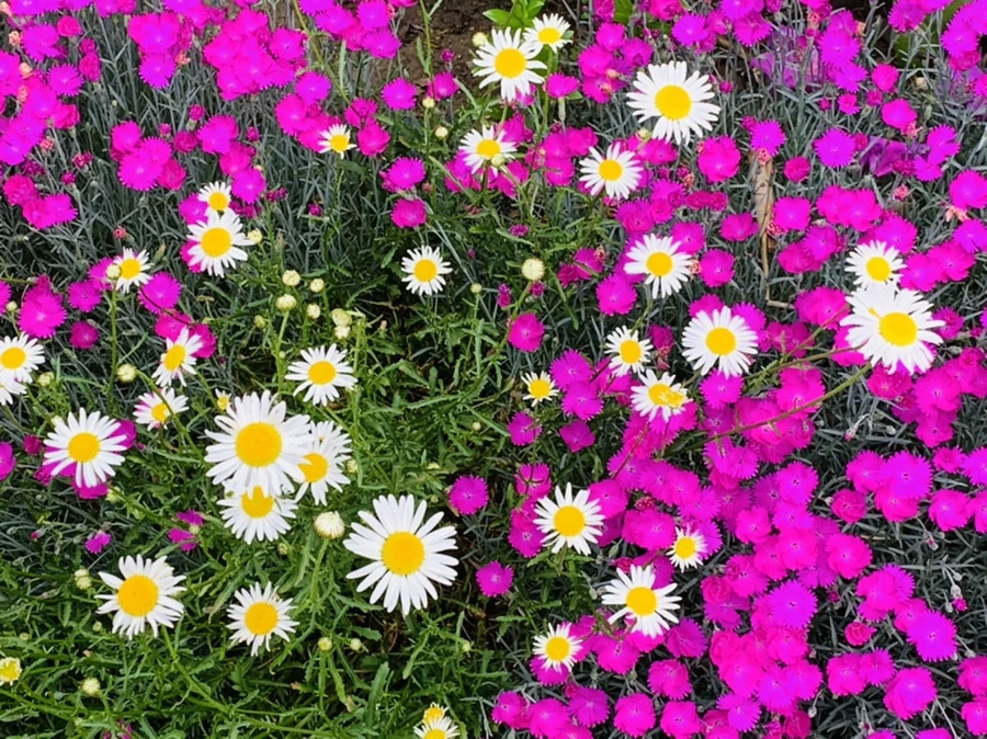 IMG_4889.jpg?type=w966