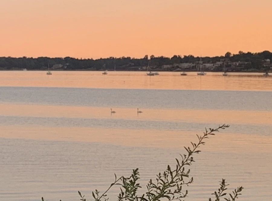 IMG_7521.jpg?type=w966