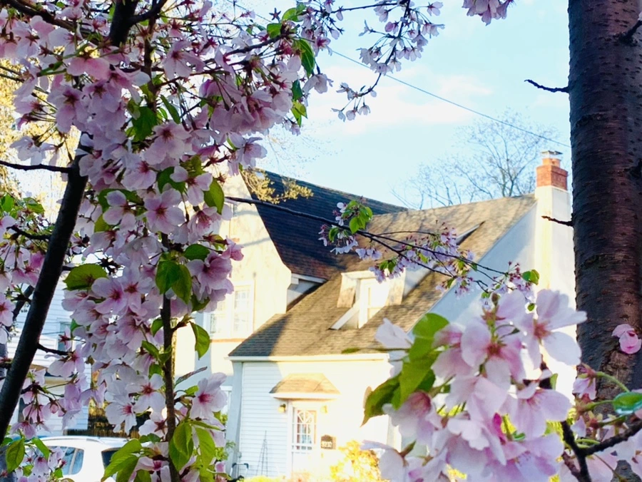 IMG_2439.jpg?type=w966