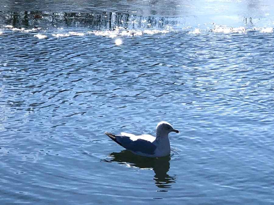 IMG_6887.jpg?type=w966