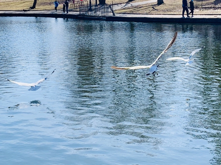 IMG_9588.jpg?type=w966