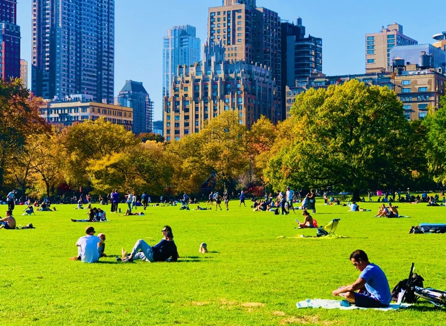 IMG_3820.jpg?type=w966