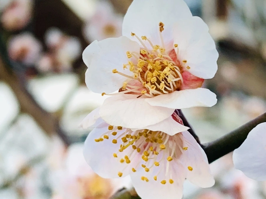 IMG_2325.jpg?type=w966