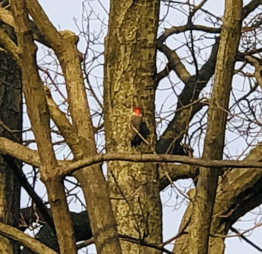 IMG_4655.jpg?type=w966