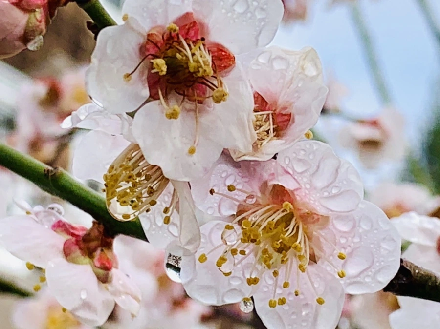 IMG_3969.jpg?type=w966