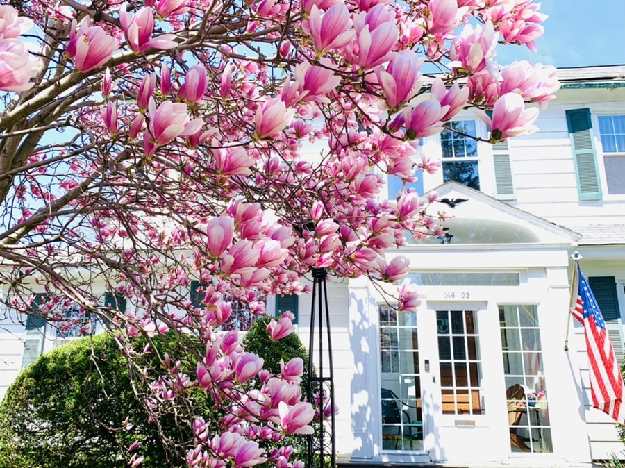 IMG_8579.jpg?type=w966