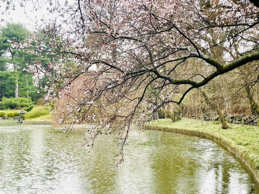 IMG_7338.jpg?type=w966