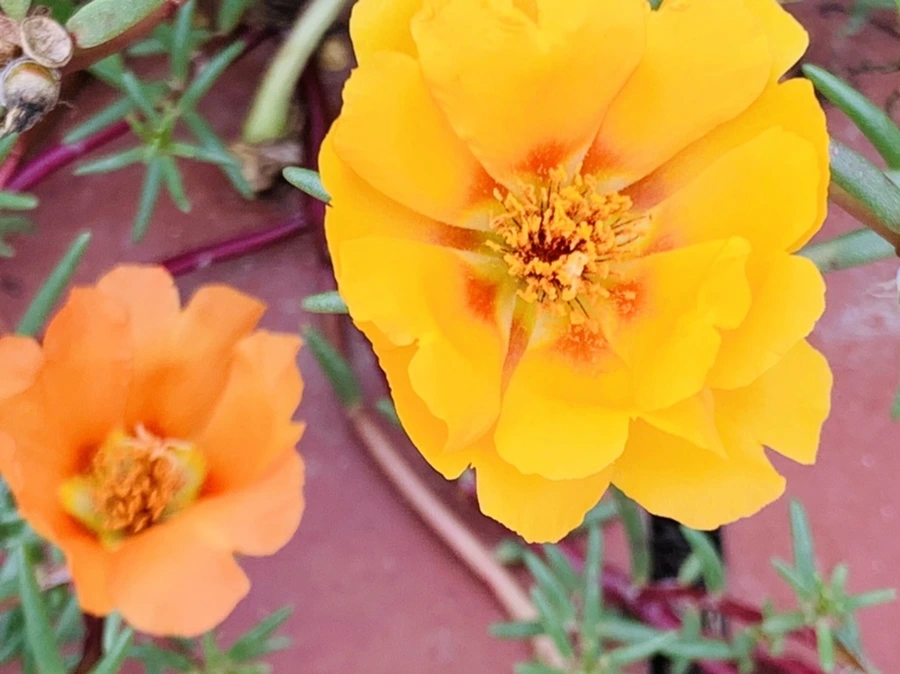 IMG_5908.jpg?type=w966