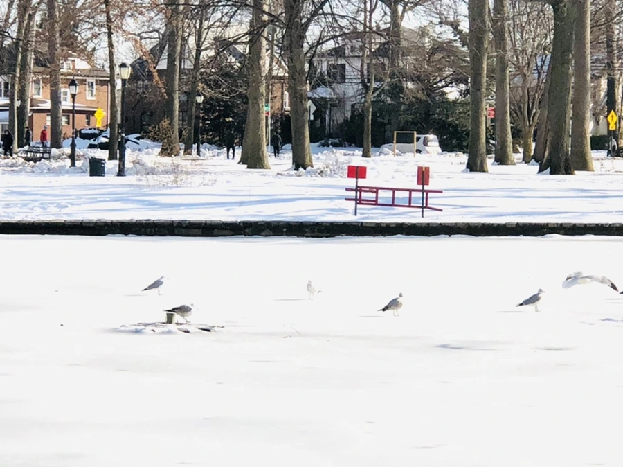 IMG_0326.jpg?type=w966