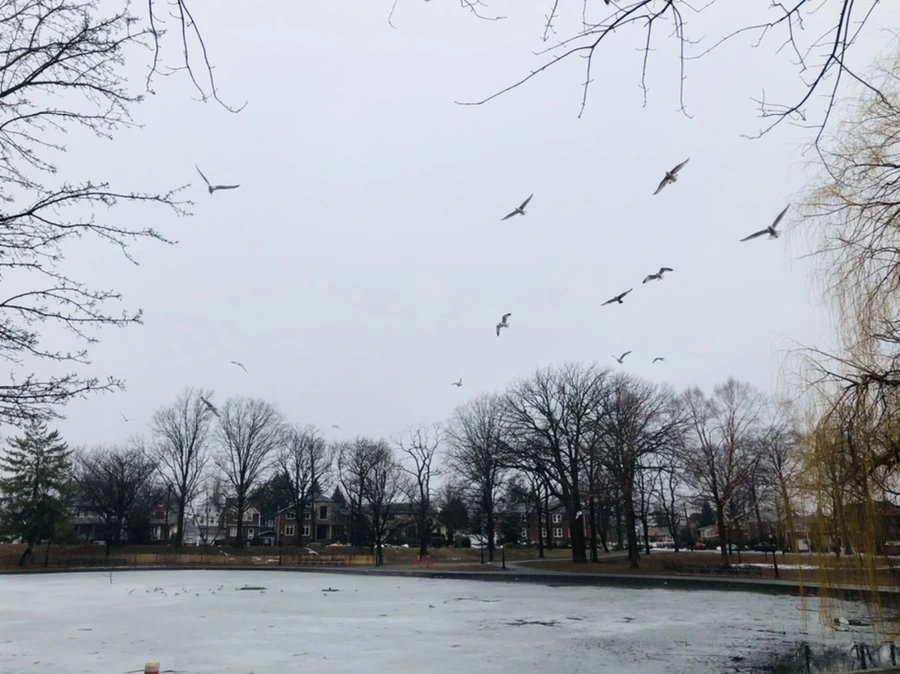 IMG_5623.jpg?type=w966