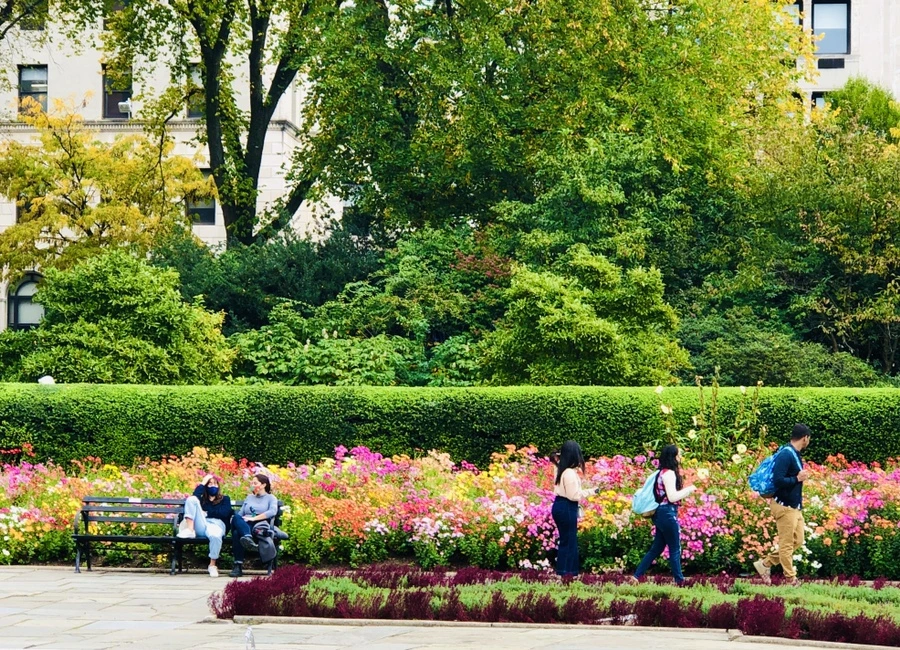 IMG_2492.jpg?type=w966