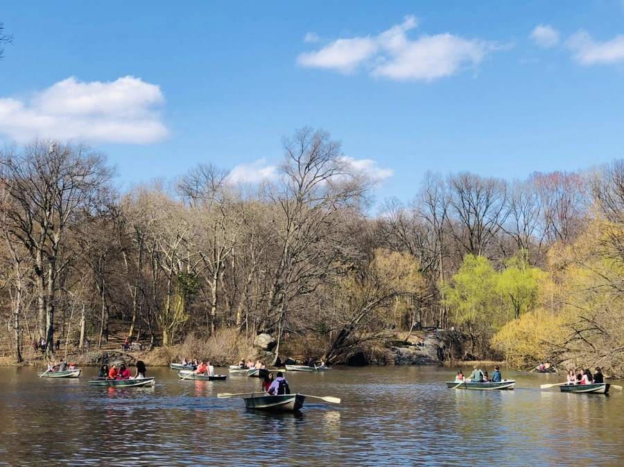 IMG_2470.jpg?type=w966