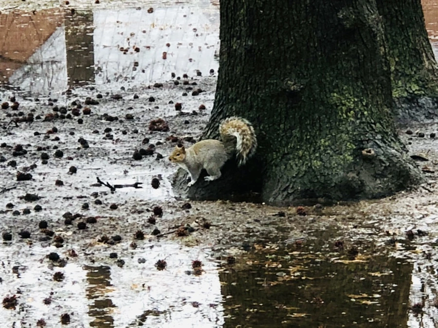 IMG_5722.jpg?type=w966