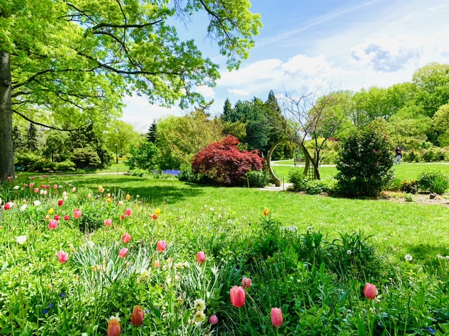 IMG_1403.jpg?type=w966