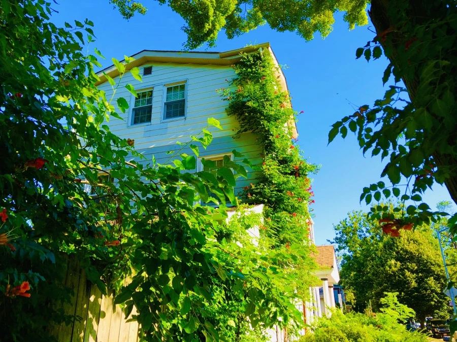 IMG_2776.jpg?type=w966