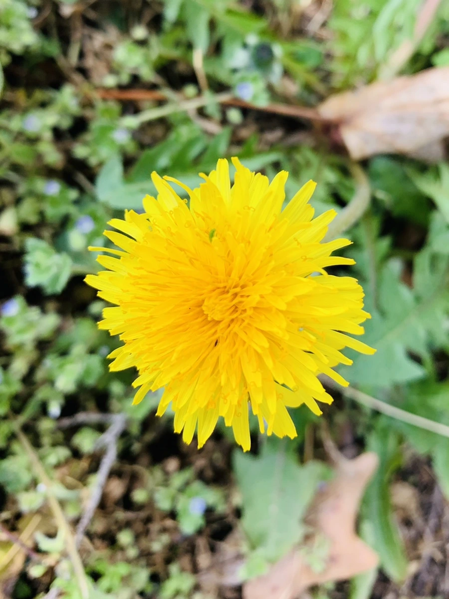 IMG_4532.jpg?type=w966