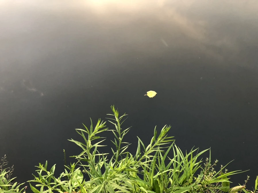 IMG_4291.jpg?type=w966