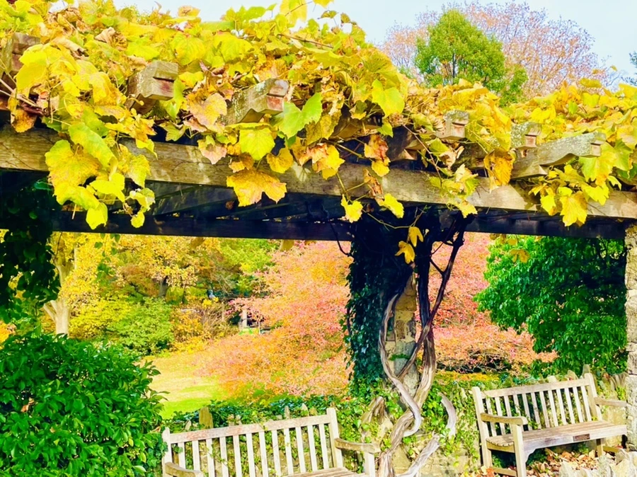 IMG_2380.jpg?type=w966