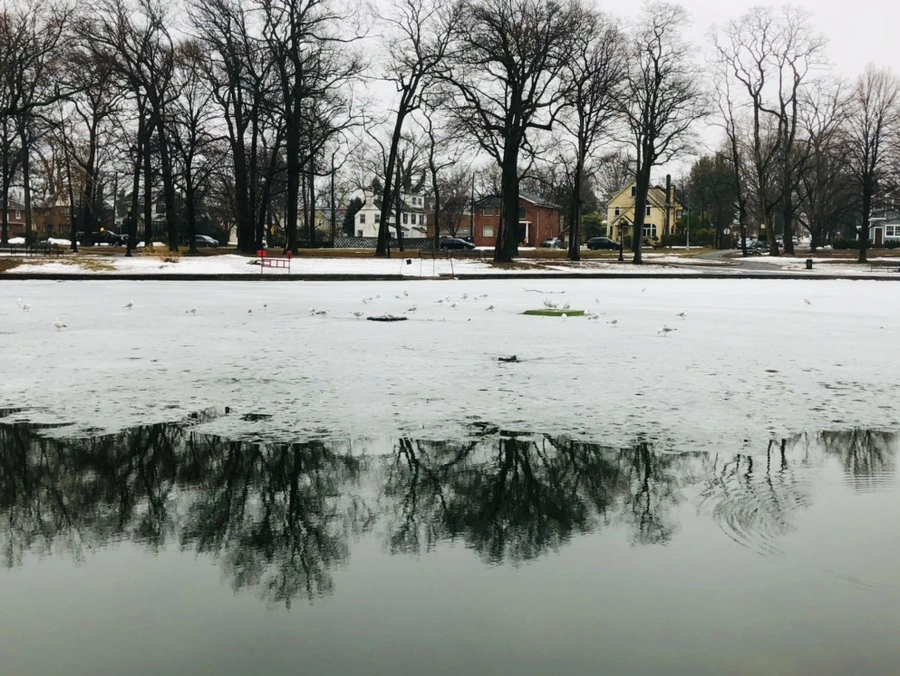 IMG_5507.jpg?type=w966