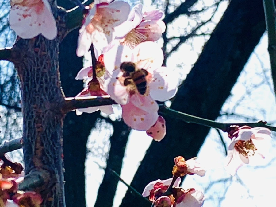 IMG_4216.jpg?type=w966