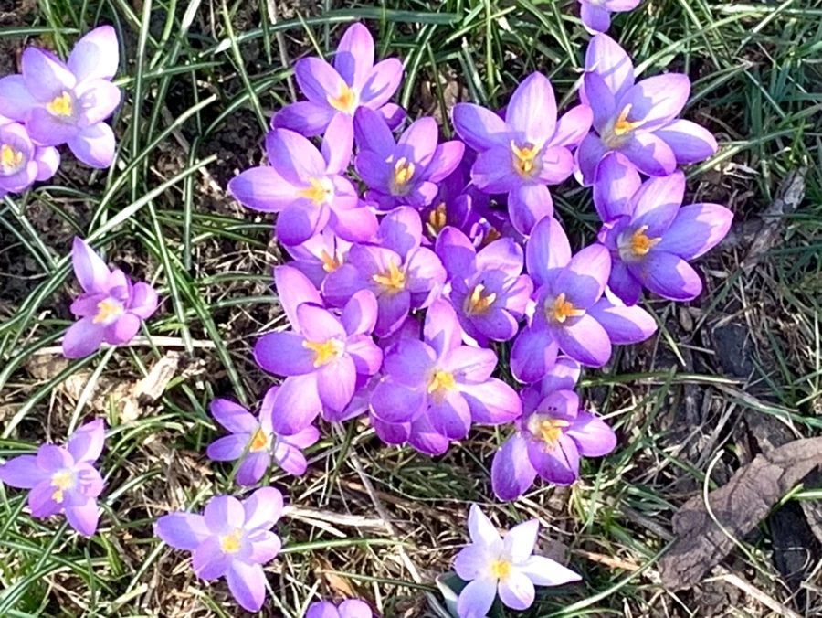 IMG_0222.jpg?type=w966