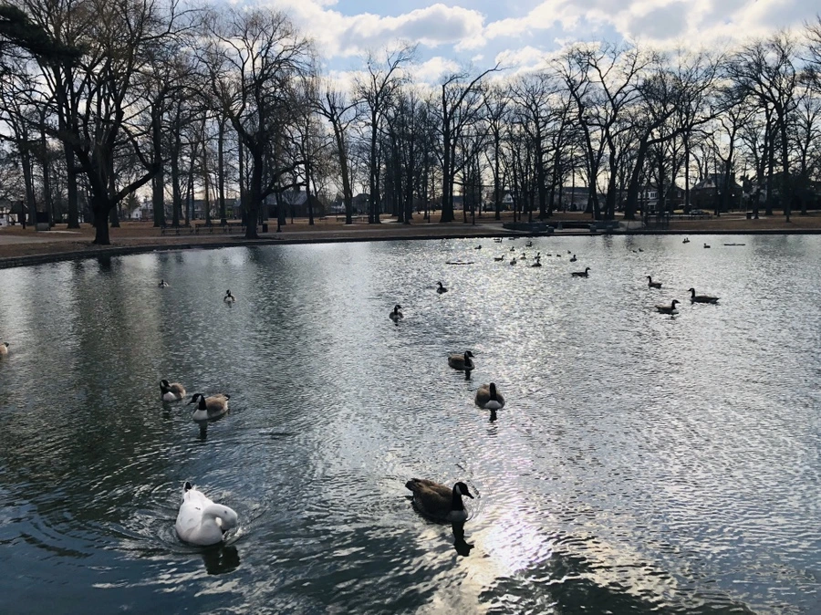 IMG_0156.jpg?type=w966