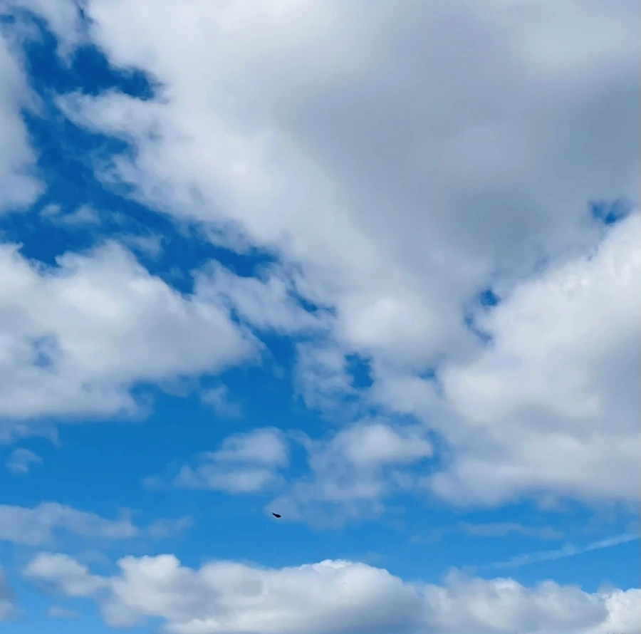 IMG_7593.jpg?type=w966