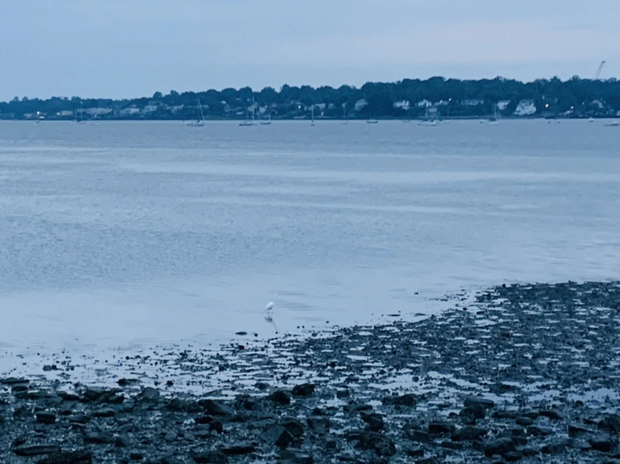 IMG_0692.jpg?type=w966