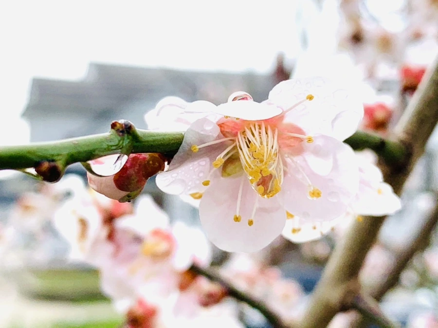 IMG_3898.jpg?type=w966