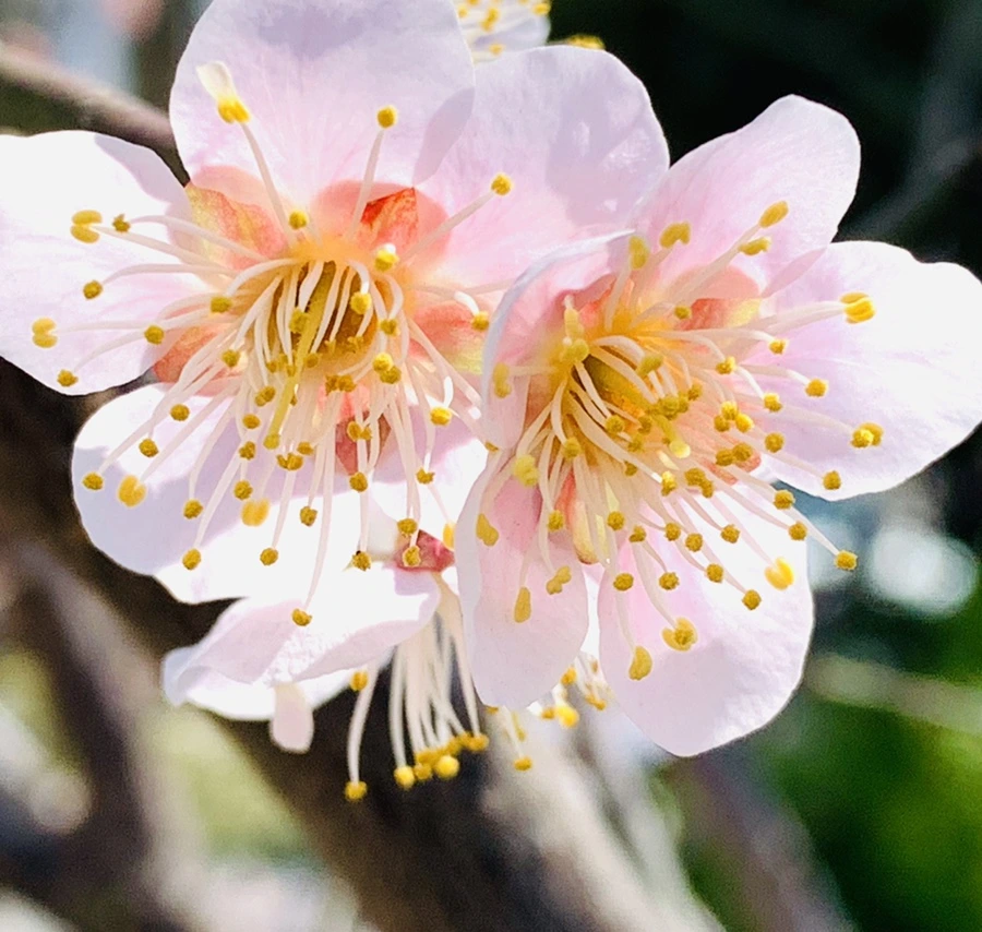 IMG_0971.jpg?type=w966