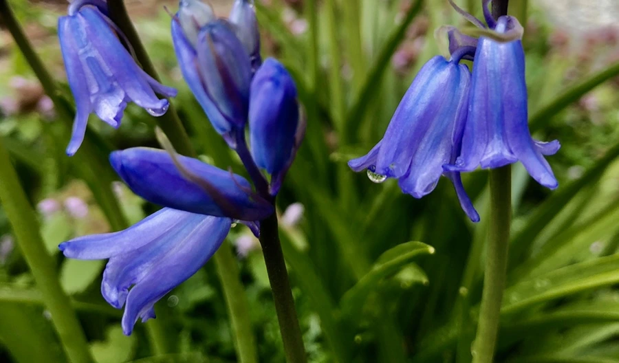 IMG_6725.jpg?type=w966