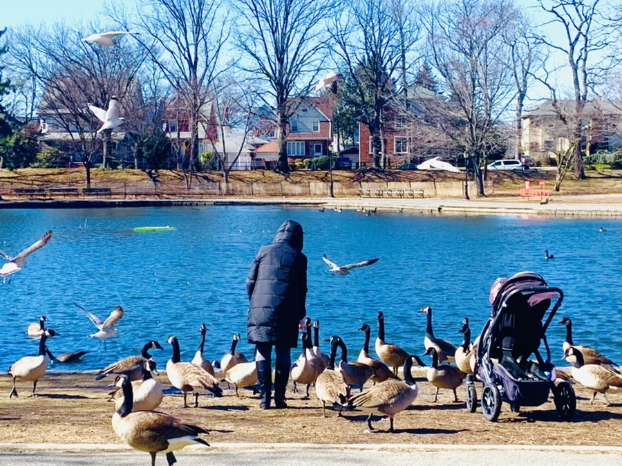 IMG_6685.jpg?type=w966