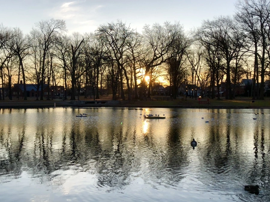 IMG_0761.jpg?type=w966