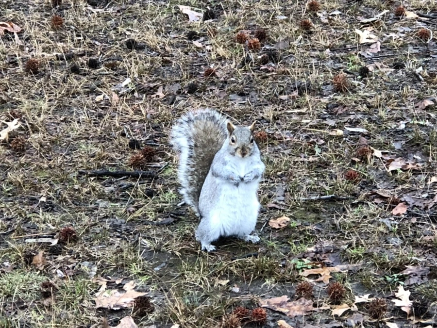 IMG_9515.jpg?type=w966